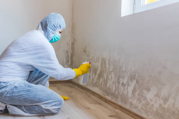 Mold Remediation specialist working in Preston