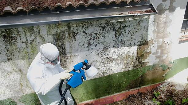 Mold Remediation service in Preston, Preston, TX